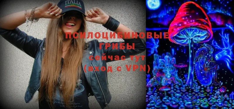 Галлюциногенные грибы MAGIC MUSHROOMS  дарнет шоп  Луга 